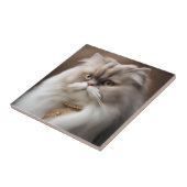 ペルシャ美しい猫 タイル (側面)