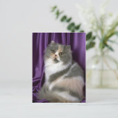 ペルシャ語、青、トルティ、白 ポストカード (スタンド正面)