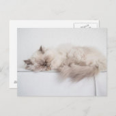 ペルシャ ポストカード (正面/裏面)