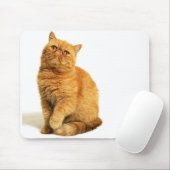 ペルシャ マウスパッド (マウス)