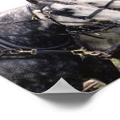 ペルシュロンタンデム ポスター (角)