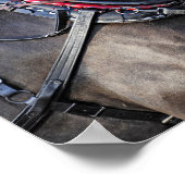 ペルシュロン荷車を引くウマのチーム ポスター (角)