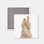 ペルシ遊ア語（3歳） マグネット (正面/裏面)