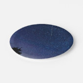 ペルセイド流星シャワー ペーパープレート (アングル)