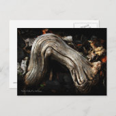 ペルセフォンはがきの擬人化 ポストカード (正面/裏面)