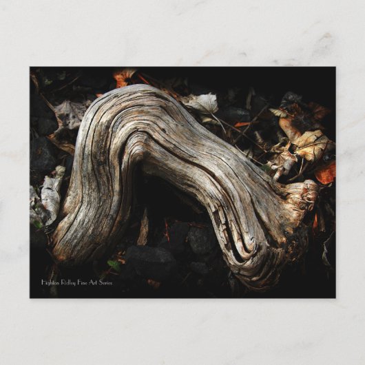 ペルセフォンはがきの擬人化 ポストカード (正面)