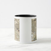 ペルセポリスの衛星ビュー マグカップ (中央)