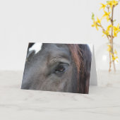 ペルチェロン馬の挨拶状 カード (黄色い花)
