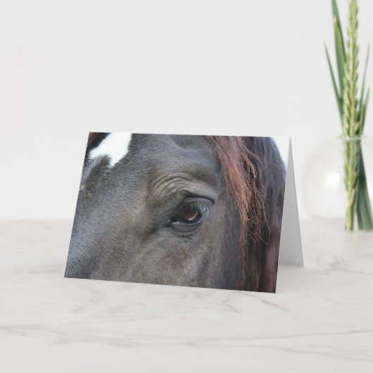 ペルチェロン馬の挨拶状 カード (正面)