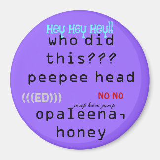 ペルトpup磁石 マグネット