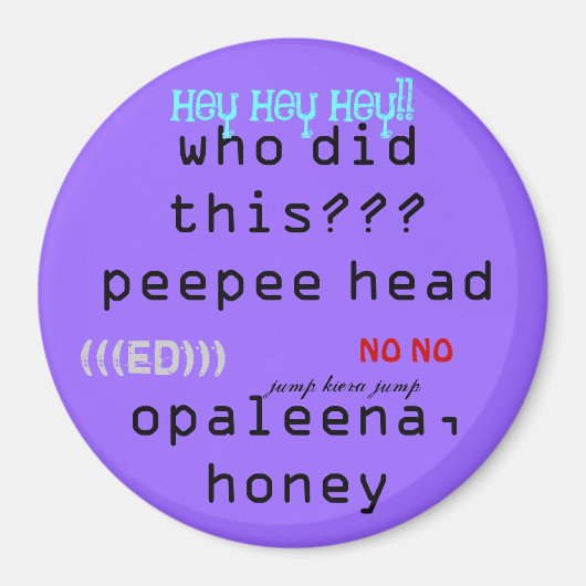 ペルトpup磁石 マグネット (正面)