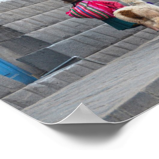 ペルーのクスコ州アルパカ ポスター (角)