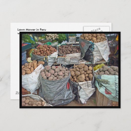 ペルーのジャガイモの国 ポストカード (正面/裏面)