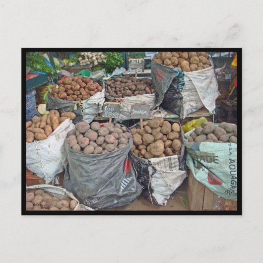 ペルーのジャガイモの国 ポストカード (正面)