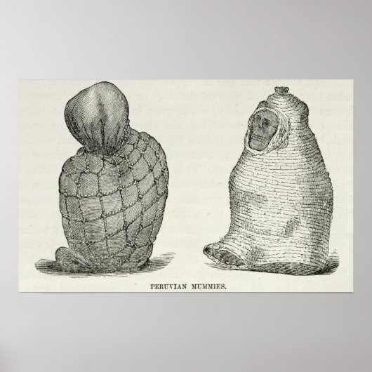 ペルーのミイラ ポスター (正面)