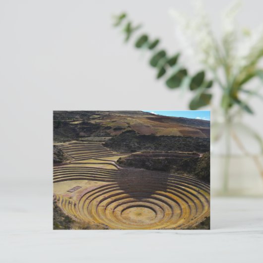 ペルーのモレーにあるインカ農用地 ポストカード (スタンド正面)