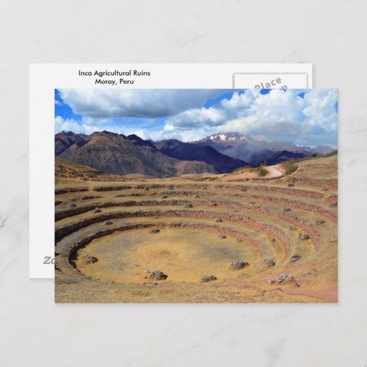 ペルーのモレーにあるインカ農用地 ポストカード (正面/裏面)