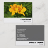 ペルーのユリ 名刺 (正面/裏面)