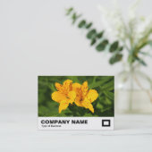 ペルーのユリ 名刺 (スタンド正面)