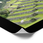 ペルーのラマ ポスター (角)