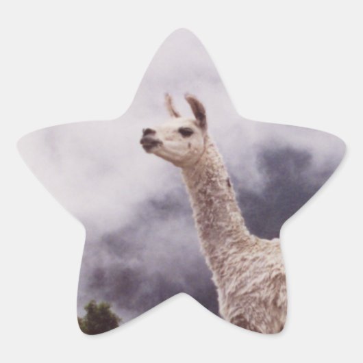 ペルーのラマ・マチュピチュ 星シール (正面)