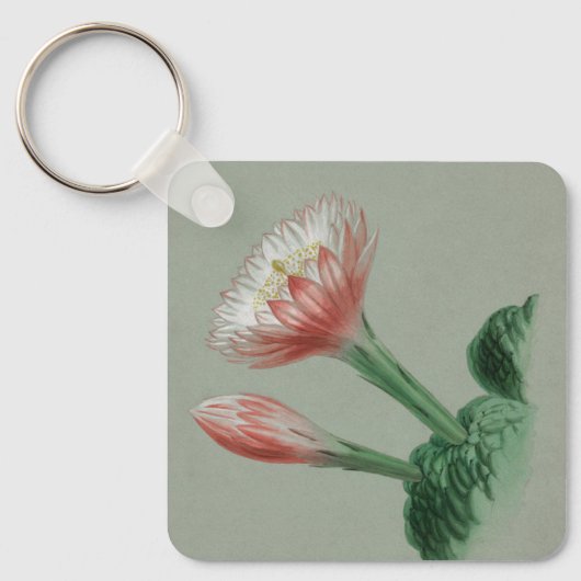 ペルーのリンゴ キーホルダー (正面)