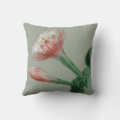 ペルーのリンゴ クッション (裏面)