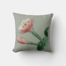 ペルーのリンゴ