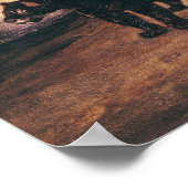 ペルーの二つのジャガー ポスター (角)