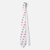 ペルーアレキパの代表団LDS CTR ネクタイ (正面)