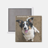 ペルーサ マグネット (正面/裏面)