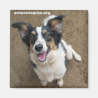 ペルーサ マグネット