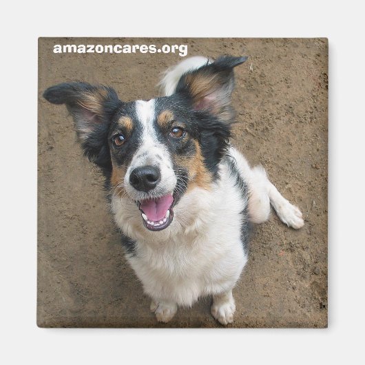 ペルーサ マグネット (正面)