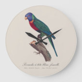 ペルーシュ・ア・テ・ブルー・フェメルル/ Rainbow lorikeet ラージ壁時計 (正面)