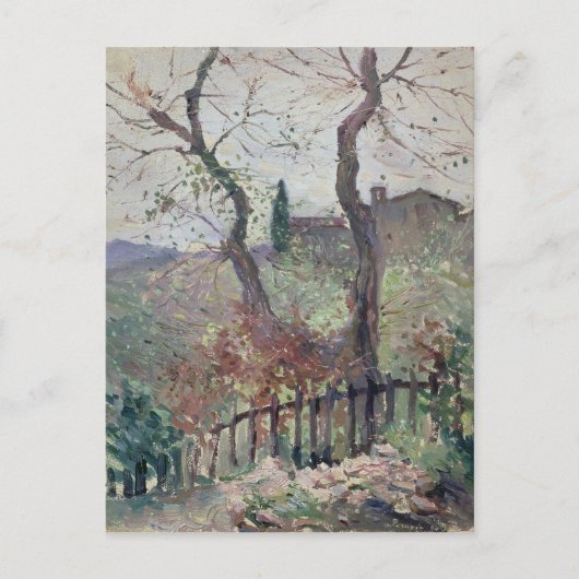 ペルージャ、ウンブリア、1894年 ポストカード (正面)