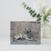 ペルーストライプのクスコの白犬 ポストカード (スタンド正面)