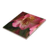 ペルーユリ(アルストロメリア属のaurea) タイル (側面)