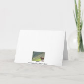 ペルーラマ カード (裏面)