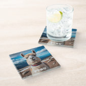 ペルーラマ ガラスコースター (アングル)