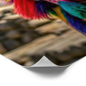 ペルーラマ ポスター (角)