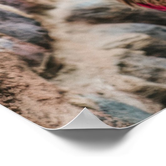 ペルーラマ ポスター (角)