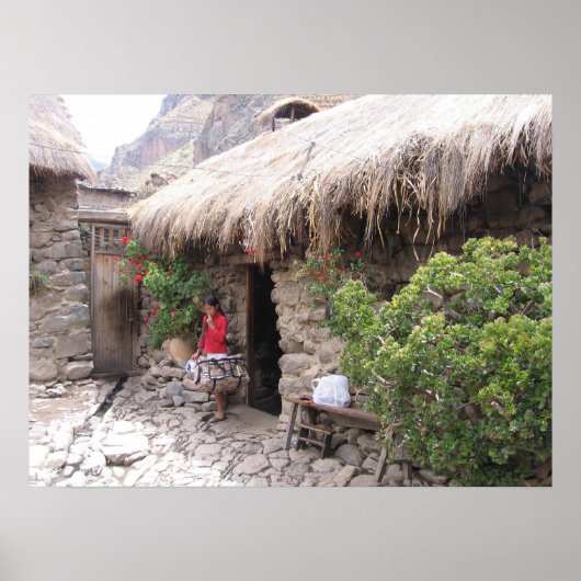 ペルー住宅 ポスター (正面)