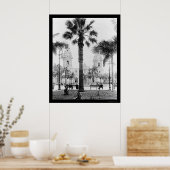 ペルー大聖堂リマ1902 ポスター (キッチン)