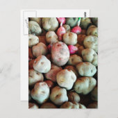 ペルー産ジャガイモ ポストカード (正面/裏面)