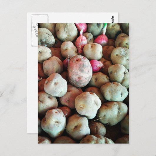 ペルー産ジャガイモ ポストカード (正面/裏面)