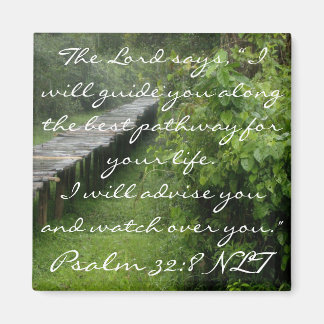 ペルー磁石 マグネット