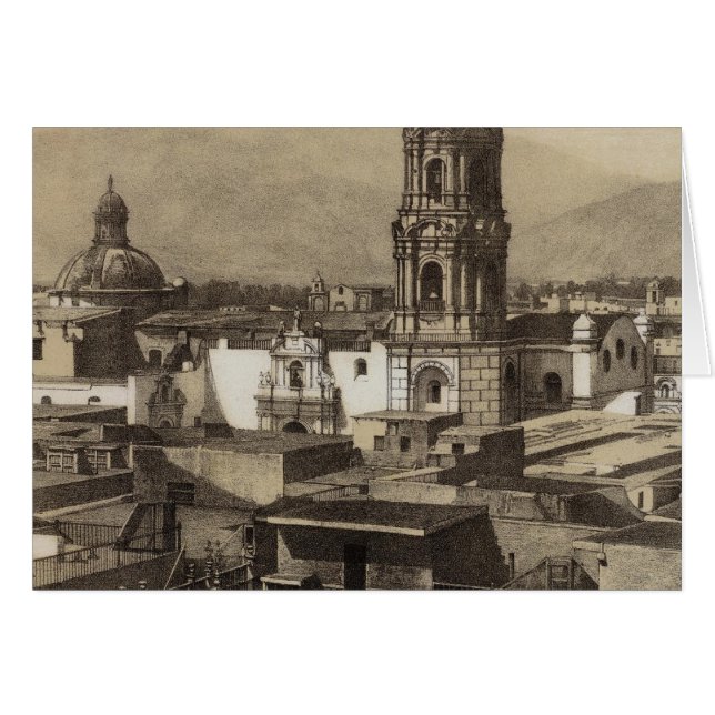 ペルー28 (正面横)