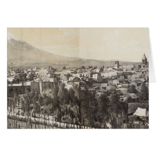 ペルー37 (正面横)