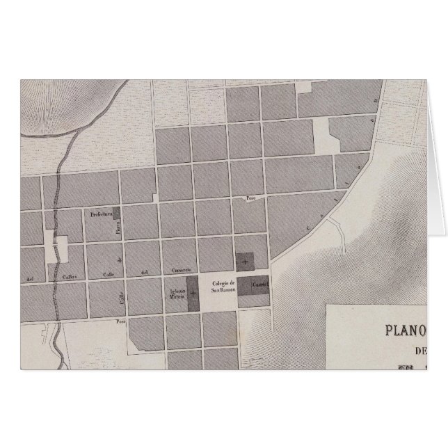 ペルー4 (正面横)