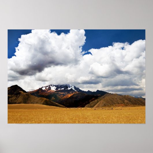 ペルー・アンデスの羊飼いと彼の群れ ポスター (正面)